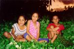 Filename=2410iue.jpg
Filesize=52KiB
Dimensions=560x372
Date added=Jun 09, 2006 2410iue.jpg