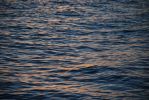 Filename=081112470_1280.jpg
Filesize=324KiB
Dimensions=1280x856
Date added=%088 %14, %2008 081112470_1280.jpg