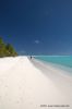 Filename=DSC_1016.jpg
Filesize=90KiB
Dimensions=682x1024
Date added=Aug 29, 2011 DSC_1016.jpg