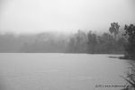 Filename=DSC_3873.jpg
Filesize=104KiB
Dimensions=1280x852
Date added=Jan 22, 2011 DSC_3873.jpg
