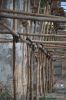 Filename=DSC_5408.jpg
Filesize=280KiB
Dimensions=799x1200
Date added=Feb 28, 2016 DSC_5408.jpg