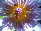 Filename=030214002.jpg
Filesize=111KiB
Dimensions=1024x768
Date added=%086 %20, %2006 030214002.jpg