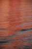 Filename=090208146_1024.jpg
Filesize=189KiB
Dimensions=685x1024
Date added=Feb 08, 2009 090208146_1024.jpg